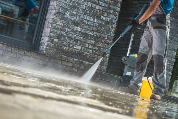 Best House Exterior Washing  in Columbus, MN